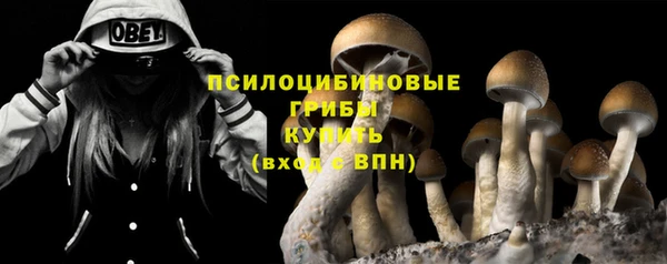 хмурый Осташков