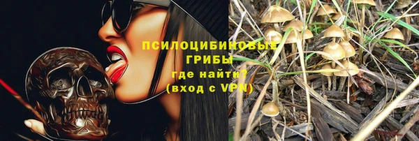 гидра Киренск