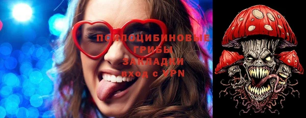хмурый Осташков