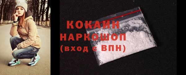 индика Нижний Тагил