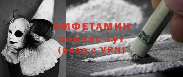прущие грибы Архангельск
