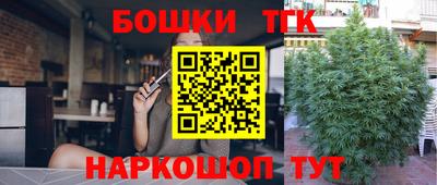 дживик Абакан