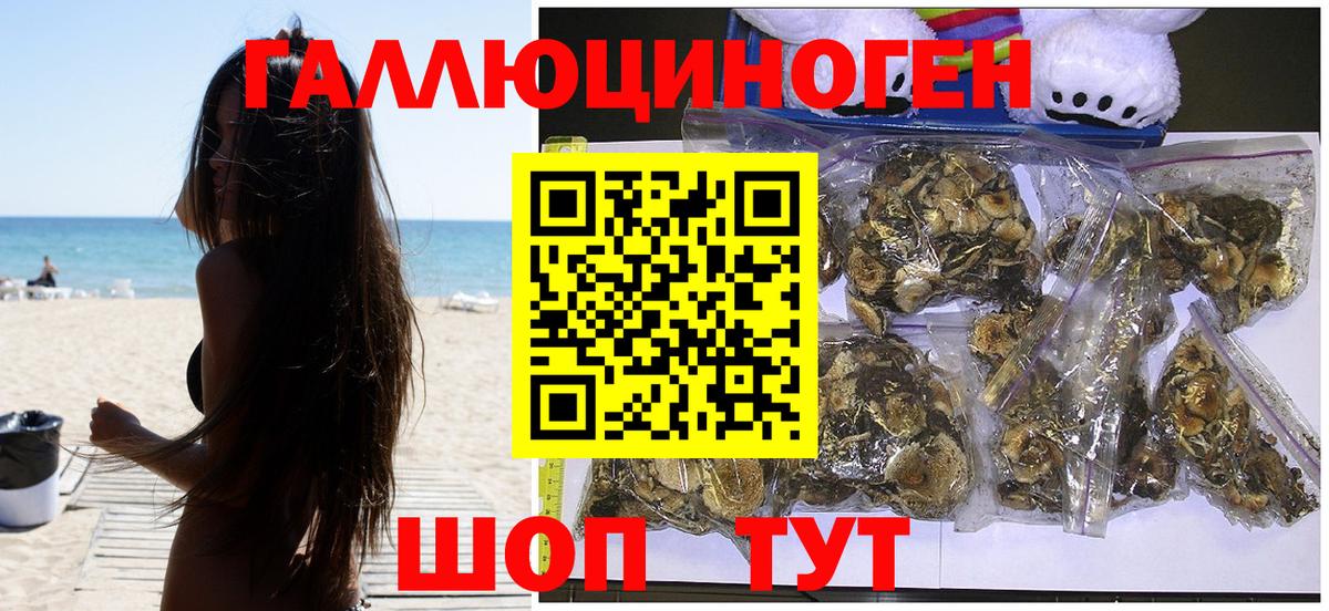 Алушта  купить наркоту  Вход с VPN  Псилоцибиновые грибы Psilocybe 