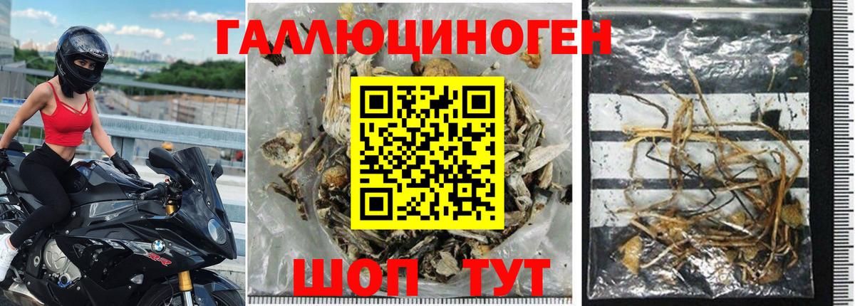 Галлюциногенные грибы Magic Shrooms Алушта